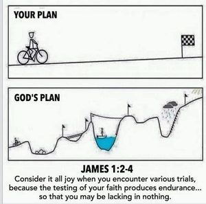 Meet your Posher, Shirley